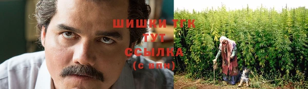 Альфа ПВП Нея